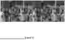 Fig. 13 - METHOD AND DATA PROCESSING SYSTEM FOR LOSSY IMAGE OR VIDEO ENCODING, TRANSMISSION AND DECODING