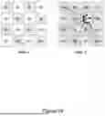 Fig. 30 - METHOD AND DATA PROCESSING SYSTEM FOR LOSSY IMAGE OR VIDEO ENCODING, TRANSMISSION AND DECODING