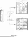 Fig. 36 - METHOD AND DATA PROCESSING SYSTEM FOR LOSSY IMAGE OR VIDEO ENCODING, TRANSMISSION AND DECODING