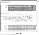 Fig. 10 - Featureless Image Categorization and Recognition using Hybrid Artificial Intelligence (AI) and Image Structural Properties for System Performance Optimization