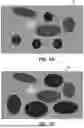 Fig. 12 - Featureless Image Categorization and Recognition using Hybrid Artificial Intelligence (AI) and Image Structural Properties for System Performance Optimization