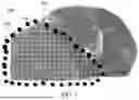 Fig. 02 - MODEL RETRAINING FOR DIFFERENT HISTOLOGICAL STAININGS