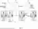 Fig. 06 - AR MIRROR