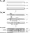 Fig. 07 - WAFER PLACEMENT TABLE