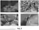 Fig. 06 - SUBSTRATES FOR PLANT GROWTH AND INFRASTRUCTURE