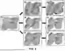 Fig. 12 - SUBSTRATES FOR PLANT GROWTH AND INFRASTRUCTURE