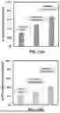 Fig. 20 - SUBSTRATES FOR PLANT GROWTH AND INFRASTRUCTURE