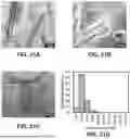 Fig. 26 - SUBSTRATES FOR PLANT GROWTH AND INFRASTRUCTURE