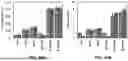 Fig. 29 - SUBSTRATES FOR PLANT GROWTH AND INFRASTRUCTURE