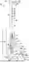 Fig. 01 - Devices, Methods and Compositions for Reproductive Organs