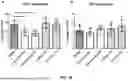 Fig. 33 - COMPOSITIONS AND METHODS FOR TREATMENT OF CANCER