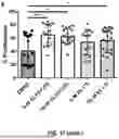 Fig. 35 - COMPOSITIONS AND METHODS FOR TREATMENT OF CANCER