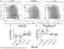Fig. 46 - COMPOSITIONS AND METHODS FOR TREATMENT OF CANCER