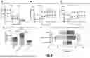 Fig. 48 - COMPOSITIONS AND METHODS FOR TREATMENT OF CANCER