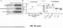 Fig. 49 - COMPOSITIONS AND METHODS FOR TREATMENT OF CANCER