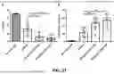 Fig. 69 - COMPOSITIONS AND METHODS FOR TREATMENT OF CANCER