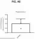Fig. 85 - COMPOSITIONS AND METHODS FOR TREATMENT OF CANCER