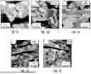 Fig. 08 - Method of Making Copper-Nickel Alloy Foams
