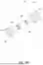 Fig. 24 - MODULAR GRIPPER