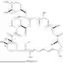 Fig. 02 - SELECTIVE RAPAMYCIN ANALOGS AND USES THEREOF
