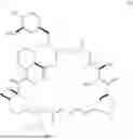 Fig. 04 - SELECTIVE RAPAMYCIN ANALOGS AND USES THEREOF