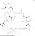 Fig. 05 - SELECTIVE RAPAMYCIN ANALOGS AND USES THEREOF