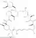 Fig. 126 - SELECTIVE RAPAMYCIN ANALOGS AND USES THEREOF