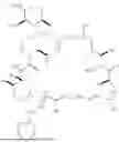 Fig. 135 - SELECTIVE RAPAMYCIN ANALOGS AND USES THEREOF