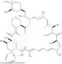 Fig. 139 - SELECTIVE RAPAMYCIN ANALOGS AND USES THEREOF