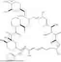 Fig. 142 - SELECTIVE RAPAMYCIN ANALOGS AND USES THEREOF
