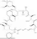 Fig. 143 - SELECTIVE RAPAMYCIN ANALOGS AND USES THEREOF