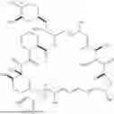 Fig. 144 - SELECTIVE RAPAMYCIN ANALOGS AND USES THEREOF