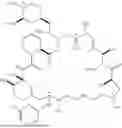 Fig. 145 - SELECTIVE RAPAMYCIN ANALOGS AND USES THEREOF