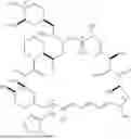 Fig. 146 - SELECTIVE RAPAMYCIN ANALOGS AND USES THEREOF
