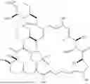 Fig. 150 - SELECTIVE RAPAMYCIN ANALOGS AND USES THEREOF
