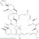 Fig. 155 - SELECTIVE RAPAMYCIN ANALOGS AND USES THEREOF