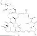 Fig. 156 - SELECTIVE RAPAMYCIN ANALOGS AND USES THEREOF