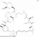 Fig. 16 - SELECTIVE RAPAMYCIN ANALOGS AND USES THEREOF