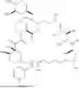 Fig. 161 - SELECTIVE RAPAMYCIN ANALOGS AND USES THEREOF