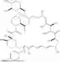 Fig. 164 - SELECTIVE RAPAMYCIN ANALOGS AND USES THEREOF