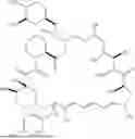 Fig. 165 - SELECTIVE RAPAMYCIN ANALOGS AND USES THEREOF