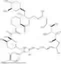 Fig. 166 - SELECTIVE RAPAMYCIN ANALOGS AND USES THEREOF