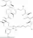 Fig. 167 - SELECTIVE RAPAMYCIN ANALOGS AND USES THEREOF