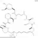 Fig. 17 - SELECTIVE RAPAMYCIN ANALOGS AND USES THEREOF