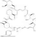 Fig. 172 - SELECTIVE RAPAMYCIN ANALOGS AND USES THEREOF