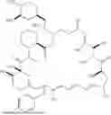 Fig. 173 - SELECTIVE RAPAMYCIN ANALOGS AND USES THEREOF