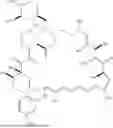 Fig. 175 - SELECTIVE RAPAMYCIN ANALOGS AND USES THEREOF