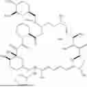 Fig. 177 - SELECTIVE RAPAMYCIN ANALOGS AND USES THEREOF