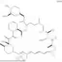 Fig. 18 - SELECTIVE RAPAMYCIN ANALOGS AND USES THEREOF