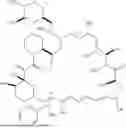 Fig. 181 - SELECTIVE RAPAMYCIN ANALOGS AND USES THEREOF